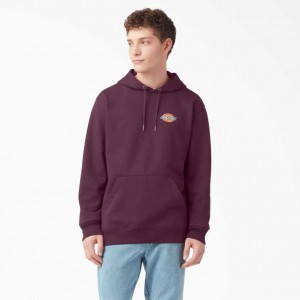 Regular Dickies Fleece Embroidered Chest Logo Hoodie | US0001990