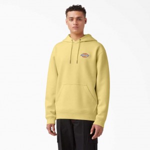 Regular Dickies Fleece Embroidered Chest Logo Hoodie | US0001993