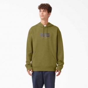 Regular Dickies Skateboarding Relief Fleece Hoodie | US0001982