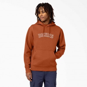 Regular Dickies Union Springs Logo Hoodie | US0002045