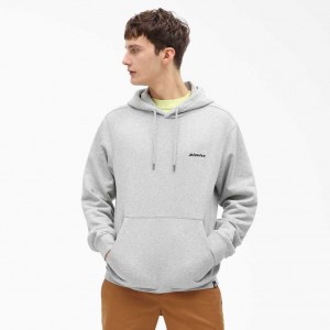 Regular Dickies Uniontown Hoodie | US0002047