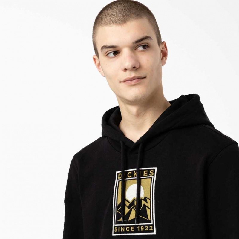 Black Dickies Pacific Embroidered Graphic Hoodie | US0002030