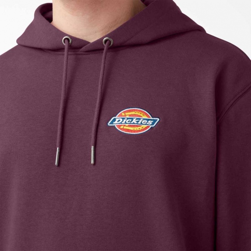 Regular Dickies Fleece Embroidered Chest Logo Hoodie | US0001990