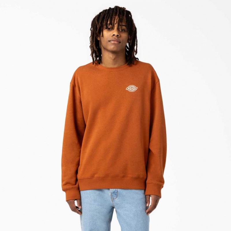 Regular Dickies Holtville Sweatshirt | US0002014