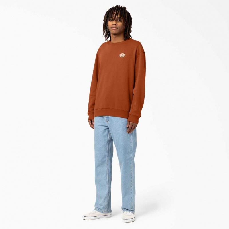 Regular Dickies Holtville Sweatshirt | US0002014