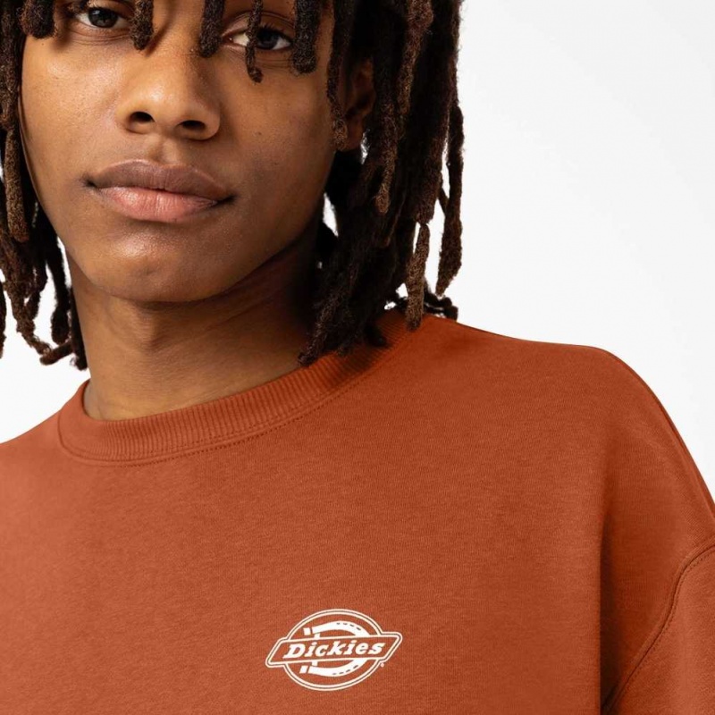 Regular Dickies Holtville Sweatshirt | US0002014